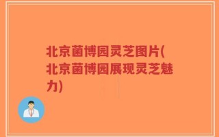 北京菌博园灵芝图片(北京菌博园展现灵芝魅力)