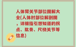 人体臂关节部位图解大全(人体肘部位解剖图，详细指引想知道的拐点、肱骨、尺桡关节等信息)