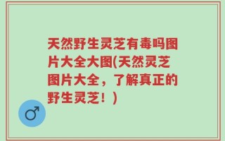 天然野生灵芝有毒吗图片大全大图(天然灵芝图片大全，了解真正的野生灵芝！)
