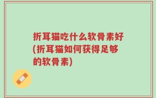 折耳猫吃什么软骨素好(折耳猫如何获得足够的软骨素)