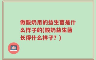 做酸奶用的益生菌是什么样子的(酸奶益生菌长得什么样子？)