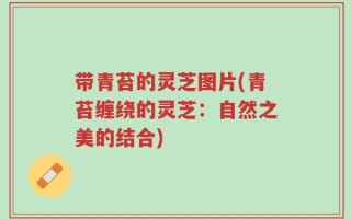 带青苔的灵芝图片(青苔缠绕的灵芝：自然之美的结合)