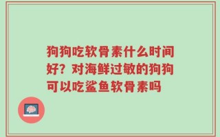 狗狗吃软骨素什么时间好？对海鲜过敏的狗狗可以吃鲨鱼软骨素吗