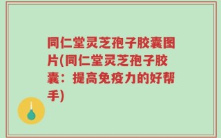 同仁堂灵芝孢子胶囊图片(同仁堂灵芝孢子胶囊：提高免疫力的好帮手)