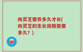 肉灵芝要养多久才长(肉灵芝的生长周期需要多久？)