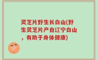 灵芝片野生长白山(野生灵芝片产自辽宁白山，有助于身体健康)