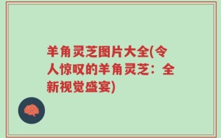 羊角灵芝图片大全(令人惊叹的羊角灵芝：全新视觉盛宴)