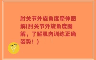 肘关节外旋角度牵伸图解(肘关节外旋角度图解，了解肌肉训练正确姿势！)
