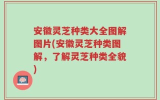 安徽灵芝种类大全图解图片(安徽灵芝种类图解，了解灵芝种类全貌)