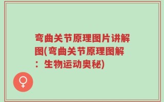 弯曲关节原理图片讲解图(弯曲关节原理图解：生物运动奥秘)