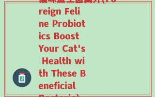 猫咪益生菌国外(Foreign Feline Probiotics Boost Your Cat's Health with These Beneficial Bacteria)