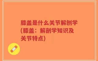 膝盖是什么关节解刨学(膝盖：解剖学知识及关节特点)
