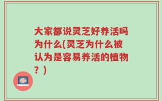 大家都说灵芝好养活吗为什么(灵芝为什么被认为是容易养活的植物？)