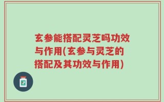 玄参能搭配灵芝吗功效与作用(玄参与灵芝的搭配及其功效与作用)