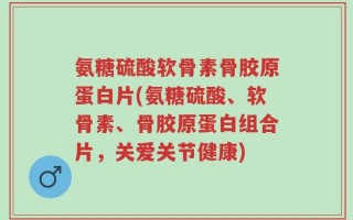 氨糖硫酸软骨素骨胶原蛋白片(氨糖硫酸、软骨素、骨胶原蛋白组合片，关爱关节健康)