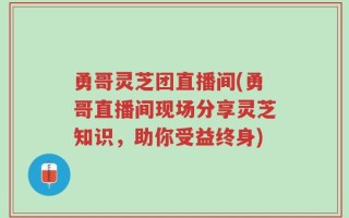 勇哥灵芝团直播间(勇哥直播间现场分享灵芝知识，助你受益终身)