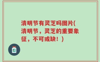 清明节有灵芝吗图片(清明节，灵芝的重要象征，不可或缺！)