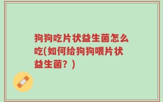 狗狗吃片状益生菌怎么吃(如何给狗狗喂片状益生菌？)