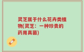 灵芝属于什么花卉类植物(灵芝：一种珍贵的药用真菌)