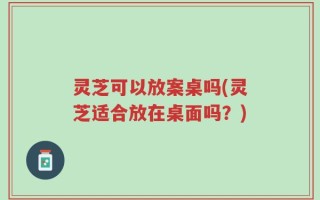 灵芝可以放案桌吗(灵芝适合放在桌面吗？)