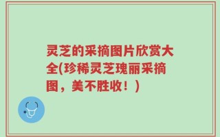 灵芝的采摘图片欣赏大全(珍稀灵芝瑰丽采摘图，美不胜收！)