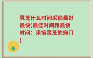 灵芝什么时间采摘最好最快(最佳时间和最快时间：采摘灵芝的窍门)