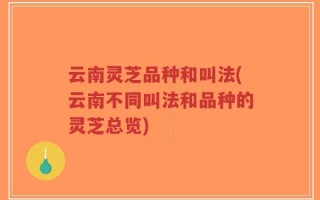 云南灵芝品种和叫法(云南不同叫法和品种的灵芝总览)