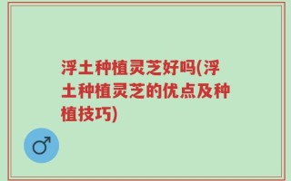 浮土种植灵芝好吗(浮土种植灵芝的优点及种植技巧)