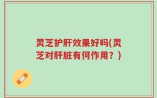 灵芝护肝效果好吗(灵芝对肝脏有何作用？)
