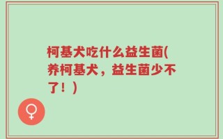 柯基犬吃什么益生菌(养柯基犬，益生菌少不了！)