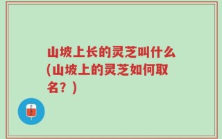 山坡上长的灵芝叫什么(山坡上的灵芝如何取名？)
