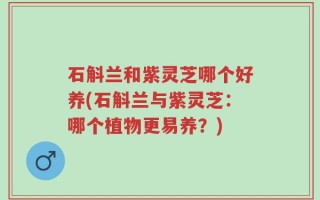 石斛兰和紫灵芝哪个好养(石斛兰与紫灵芝：哪个植物更易养？)