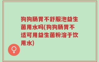 狗狗肠胃不舒服泡益生菌用水吗(狗狗肠胃不适可用益生菌粉溶于饮用水)