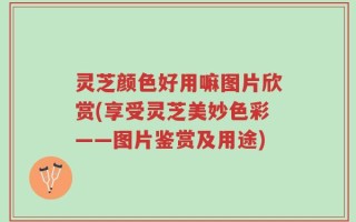 灵芝颜色好用嘛图片欣赏(享受灵芝美妙色彩——图片鉴赏及用途)