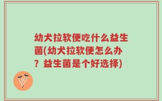 幼犬拉软便吃什么益生菌(幼犬拉软便怎么办？益生菌是个好选择)