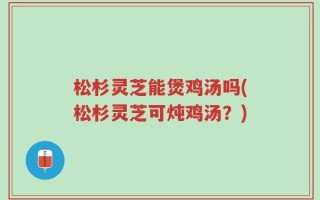 松杉灵芝能煲鸡汤吗(松杉灵芝可炖鸡汤？)