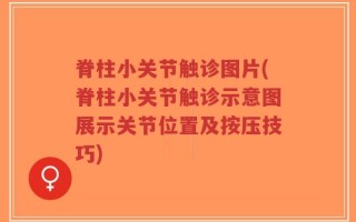 脊柱小关节触诊图片(脊柱小关节触诊示意图展示关节位置及按压技巧)