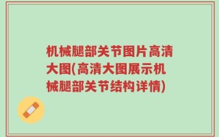 机械腿部关节图片高清大图(高清大图展示机械腿部关节结构详情)