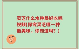 灵芝什么木种最好吃呢视频(探究灵芝哪一种最美味，你知道吗？)