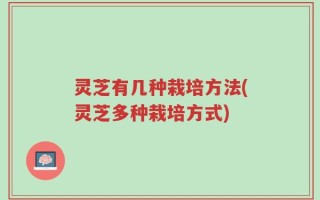 灵芝有几种栽培方法(灵芝多种栽培方式)
