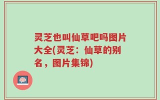 灵芝也叫仙草吧吗图片大全(灵芝：仙草的别名，图片集锦)