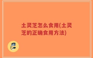 土灵芝怎么食用(土灵芝的正确食用方法)