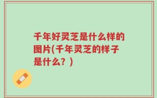 千年好灵芝是什么样的图片(千年灵芝的样子是什么？)