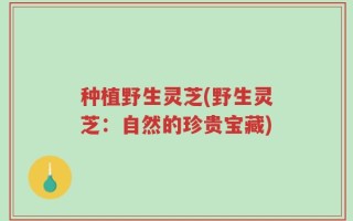种植野生灵芝(野生灵芝：自然的珍贵宝藏)