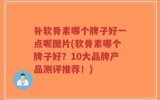 补软骨素哪个牌子好一点呢图片(软骨素哪个牌子好？10大品牌产品测评推荐！)