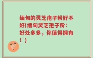 缅甸的灵芝孢子粉好不好(缅甸灵芝孢子粉：好处多多，你值得拥有！)