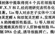 灵芝孢子粉的作用能抗癌吗？能起到什么效果？