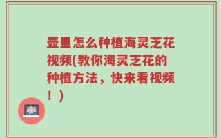 壶里怎么种植海灵芝花视频(教你海灵芝花的种植方法，快来看视频！)
