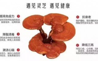 灵芝孢子粉能消除体内炎症吗？喉咙发炎可以喝灵芝孢子粉吗？