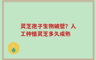 灵芝孢子生物破壁？人工种植灵芝多久成熟
